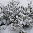 A little cool here this morning.